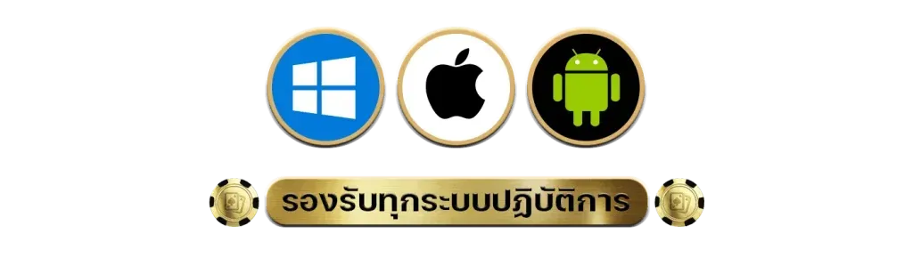 ทุกระบบ